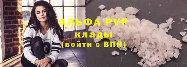 стафф Заводоуковск