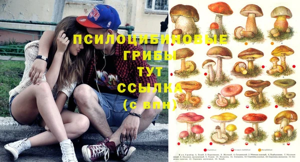 кокаин перу Ростов