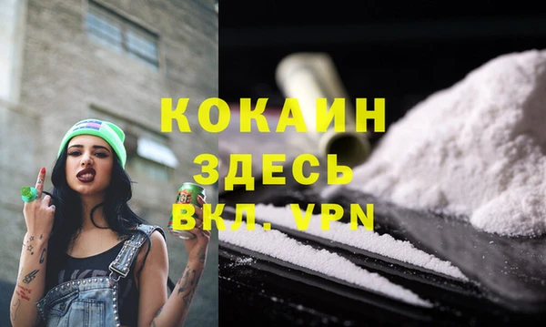 стафф Заводоуковск